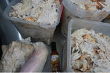 5 Pounds - Fresh Bahamas Conch